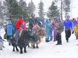 Tourists enjoy a yak ride after a fresh snowfall in Gulaba on the Manali-Rohtang Pass road