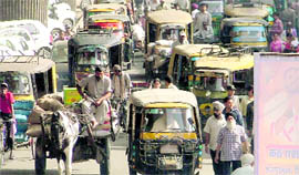 The start of the City Bus Service and ban on plying of diesel-run auto-rickshaws may leave drivers of thousands of three-wheelers plying in Ludhiana out of job.