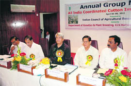 Dr KS Khokhar, Vice-Chancellor, Haryana Agricultural University, addresses the annual group meeting of cotton scientists at Hisar.