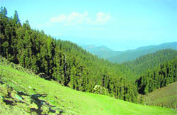 A view of Great Himalayan National Park