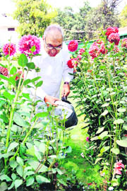 GREEN TOUCH: Chief MInister BS Hooda waters plants at his official residence in New Delhi on Thursday