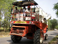 A combine harvester plying on the Bathinda-Mansa road on Sunday. 