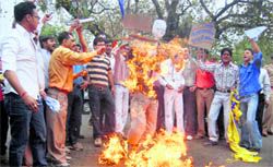 Members of the Jaati Praman Patar Banao Sangharsh Morcha burn an effigy of the state government in Dehradun on Sunday.