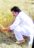 HJC chief Kuldeep Bishnoi in the fields of a farmer at Dumerkhan village in Jind