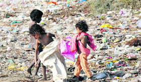 All to make both ends meet: These minor children look for items of value in a garbage dump near Phosegarh in Karnal.
