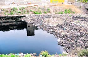 BLOT ON CITY: Garbage littered in Budda Nullah near Pavitar Nagar in Ludhiana