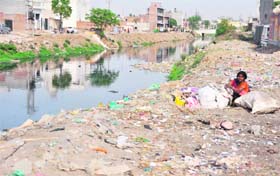 Virtually damned: A woman is exposed to the hazardous waste as she sits near the nullah in the new Kundan Puri