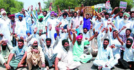 Farmers staged a dharna and blocked traffic on the Bathinda-Mansa road on Tuesday.