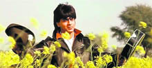 Shah Rukh Khan in Dilwale Dulhania Le Jayenge