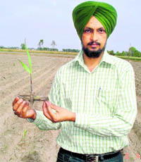 An Agriculture Development Officer shows a sugarcane seedling in Fatehgarh Sahib on Tuesday.