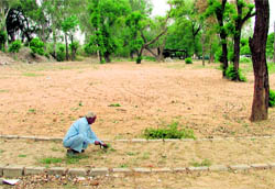 The land where the Municipal Corporation is planning to set up a herbal park