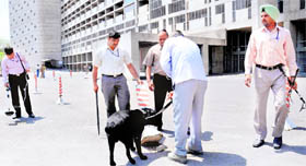 Members of the bomb disposal squad with explosive detectors and a dog squad inspect the premises of the Punjab and Haryana Secretariat following a hoax call on Friday.