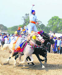 A Nihang astride two horses at the Talwandi Sabo mela on Friday