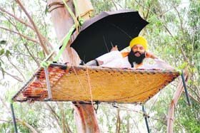 Protesting Avtar Singh Nagla makes himself comfortable on a bed, which he brought up on the tree on Saturday night