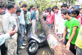 A tree that got uprooted in the rain and hailstrom fell on a two wheeler at the Tibetan market in Dehradun on Sunday