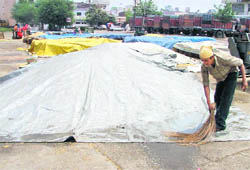 A worker covers wheat with a tarpaulin at Dana Mandi in Ludhiana on Sunday