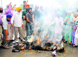 Riot victims burn effigies of Congress leaders