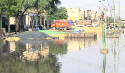 Wheat lies submerged at Jalalabad grain market after the rains