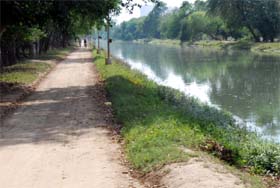 A view of the kutcha road alongside the Bathinda branch of the Sirhind canal