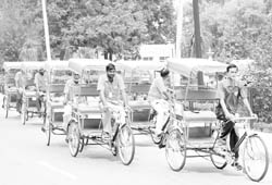 A fleet of newly flagged off eco-friendly rickshaws in Patiala 