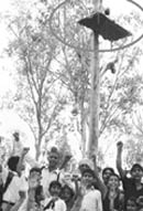 Children raise slogans in favour of protester Avtar Singh Nagla, who sits on a tree for the fourth consecutive day at Nagla village, Zirakpur