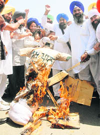Activists of the Youth Akali Dal burn two effigies of H.S. Hanspal in Jalandhar on Monday.