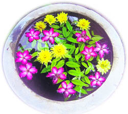 Add a whiff of natural fragrance