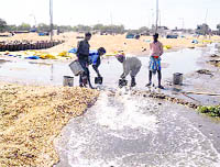 Labourers draining out the rainwater with the help of containers at Jalalabad grain market on Tuesday. 