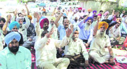 State government employees hold a rally at the Mini Secretariat in Ludhiana on Tuesday. 
