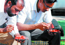 Men savour watermelons outside the Mini-secretariat in Bathinda on a hot afternoon