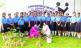 3 Punjab Girls BN NCC, Ludhiana, plant saplings on the eve of Earth Day in Ludhiana on Thursday.