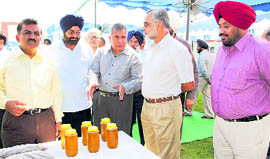 GADVASU Vice-Chancellor VK Taneja (third from left) briefs Financial Commissioner, animal husbandry, dairy and fisheries, GS Sandhu (second from right), about the universitys products in Ludhiana on Thursday.