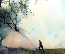 A view of the massive fire that spread in Leisure Valley, Sector 10, Chandigarh, on Friday.