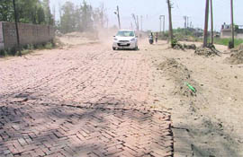 The municipal corporation has used bricks on a stretch near the Central Jail on the Tajpur Road in Ludhiana.