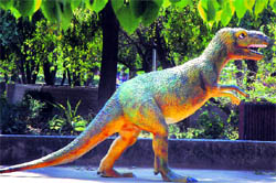 Dinosaur exhibit at Government Museum and Art Gallery-10
