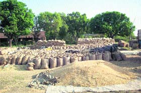 Following the transporters strike, piles of wheat lie at the grain market in Ropar district on Friday