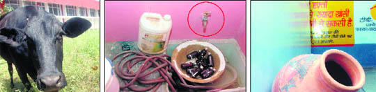 A stray cattle can be seen grazing, (centre) a non-functional tap and its basin being used as storage for used medicine bottles and water pipe and (right) an empty uncovered water pitcher lying at the entrance of the Dhanas dispensary in Chandigarh.