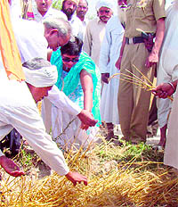 Deputy Commissioner Neelam P Kasani takes stock of the damage caused to the wheat crop in the Assandh area of Karnal district due to the recent hailstorm.