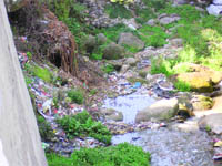 Sewerage pipes leak into Bhiral Khud polluting the water of the rivulet which is a source of drinking water in lower areas of Palampur.