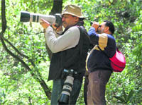 Officials of the Himachal Birds during a bird count exercise in Shimla on Sunday. 