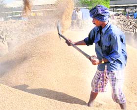 Eminent scientists from the Department of Agricultural Research and Education, New Delhi, will attend the meet