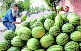 As the temperature rises, piles of watermelons can be seen at various places on the roadsides in Jalandhar these days