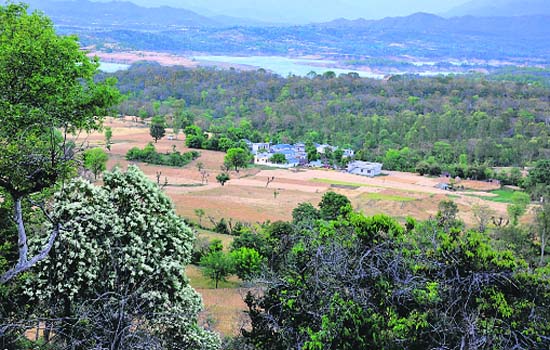 A view of agricultural fields in the semi-hilly area near Thein Dam in Jammu
