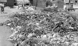 A heap of garbage lies scattered at Pabhat village, Zirakpu