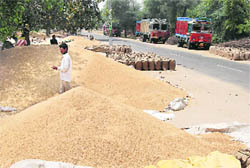 Wheat lies on roadside outside a collection centre in Bathinda.