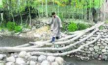 A youth walks over logs to cross a stream to cast vote at Keitch Rajgeer village in Budgam district on Saturday.