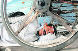 A man takes a nap under a rehri in Panchkula on Sunday. 