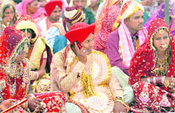 A groom talks on his mobile with his bride seated next to him at a mass marriage performed at the Dussehra grounds in Mohali on Sunday. 