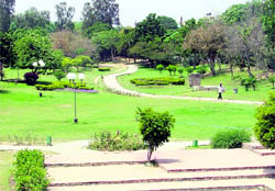 This walkers paradise is one of the few places that can boast of bringing some respite to residents