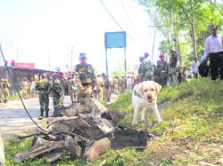Security personnel with a sniffer dog check the wreckage of the car.